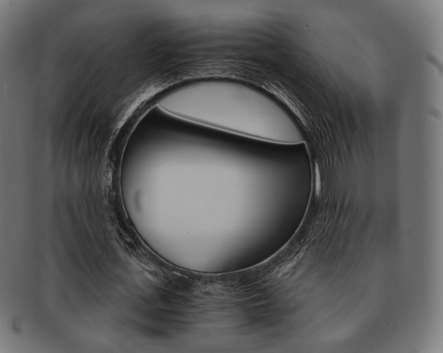 X0000092020723200709061329