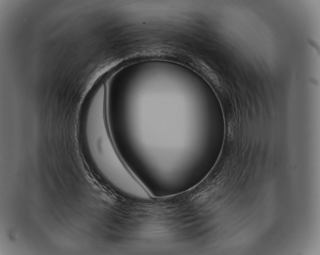 X0000092020724200709061329
