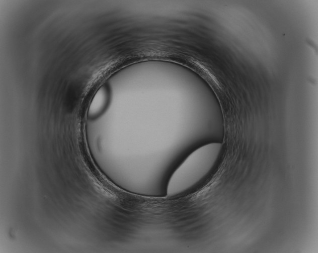 X0000092020725200709061329