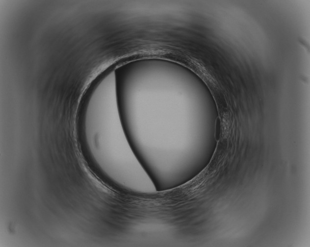 X0000092020726200709061329