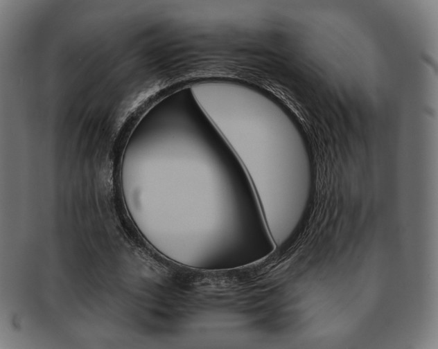 X0000092020727200709061329