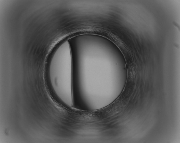 X0000092020728200709061329