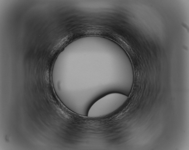 X0000092020729200709061329