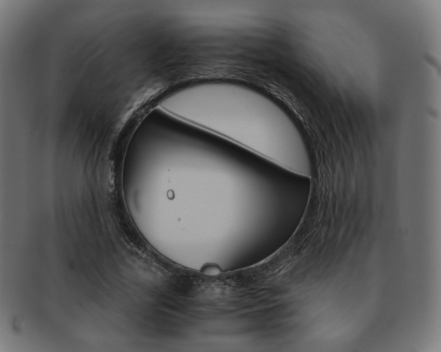 X0000092020731200709061329