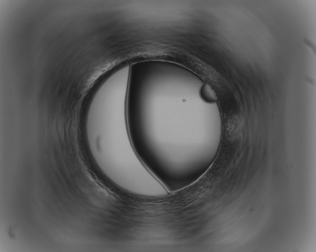 X0000092020732200709061329