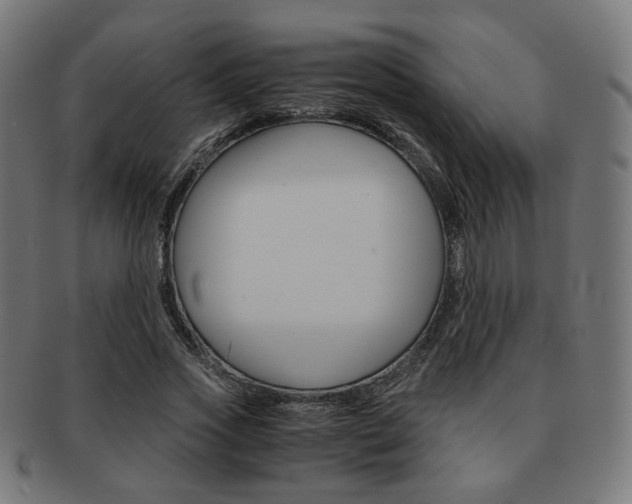 X0000092020733200709061329