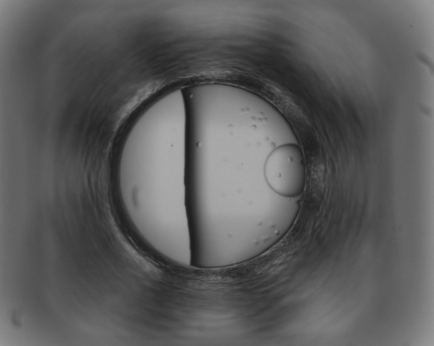 X0000092020734200709061329