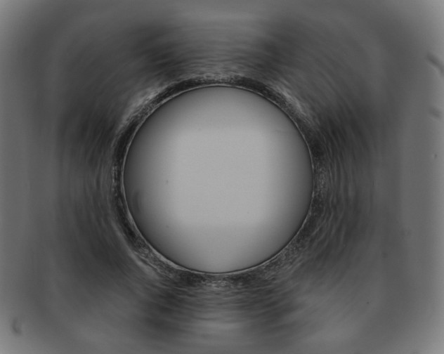 X0000092020736200709061329