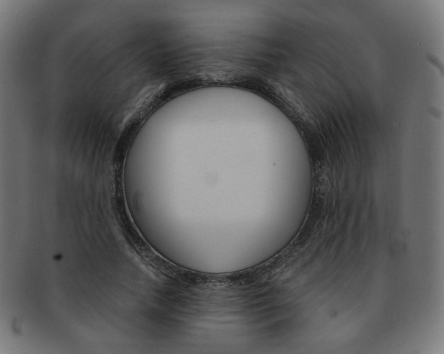 X0000092020738200709061329