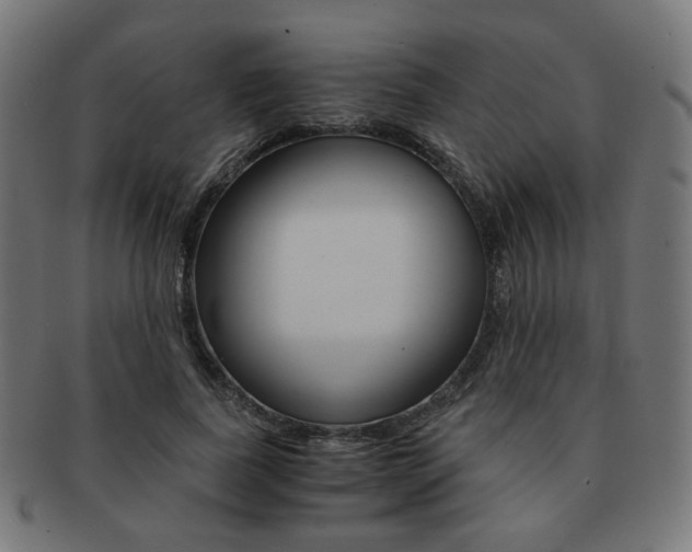 X0000092020739200709061329