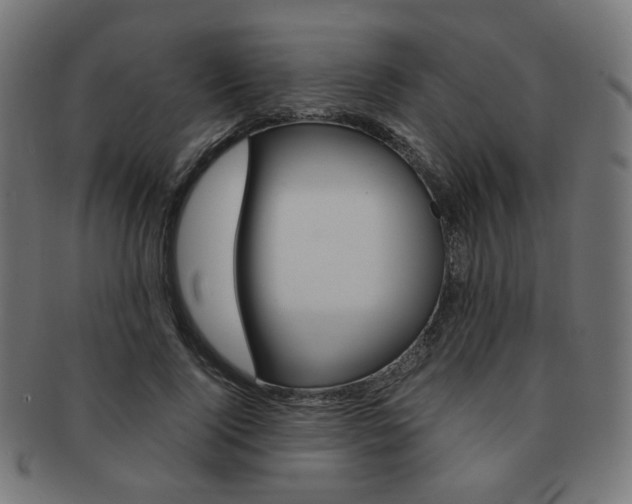 X0000092020740200709061329