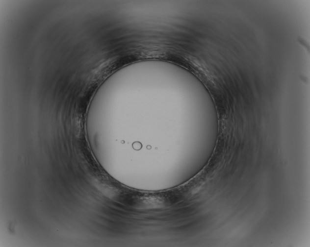 X0000092020741200709061329