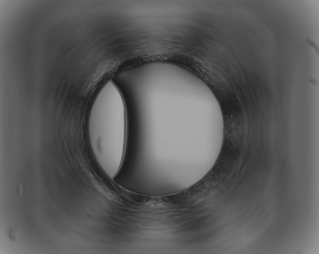 X0000092020742200709061329