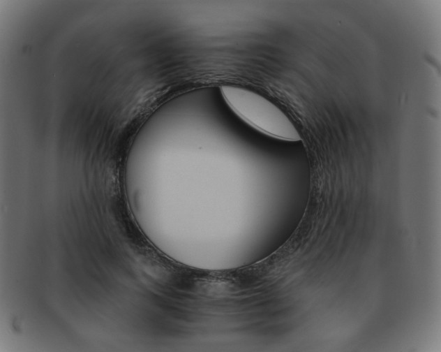 X0000092020743200709061329