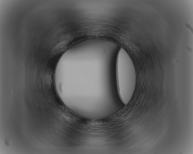X0000092020746200709061329