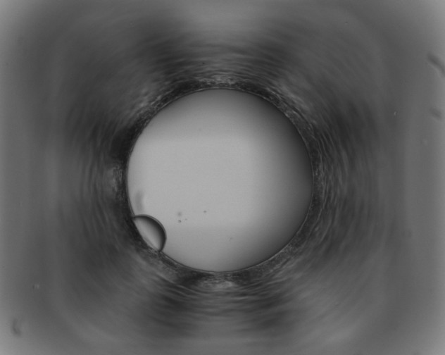X0000092020747200709061329
