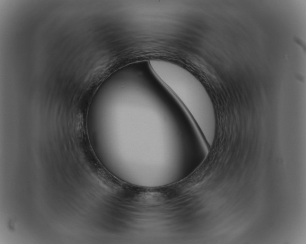 X0000092020748200709061329