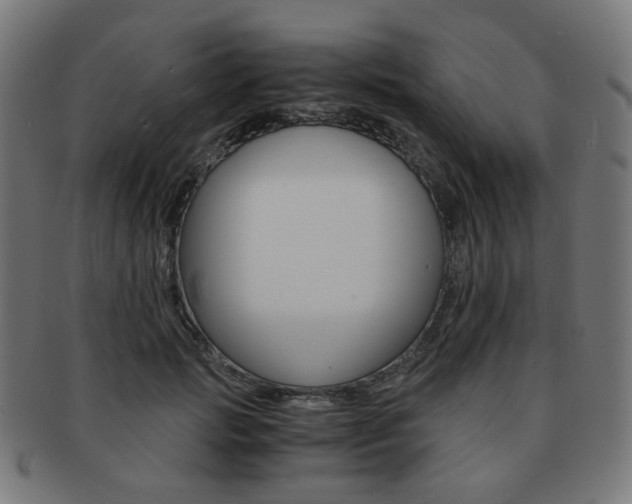 X0000092020749200709061329