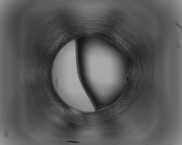 X0000092020750200709061329