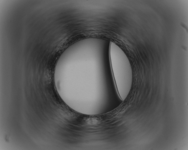 X0000092020751200709061329