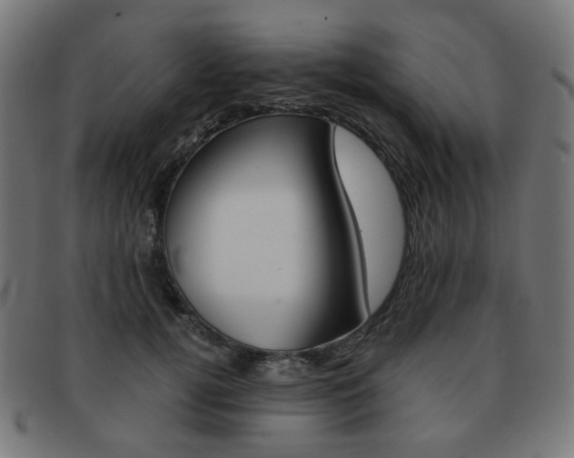 X0000092020752200709061329
