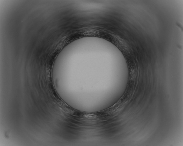 X0000092020753200709061329