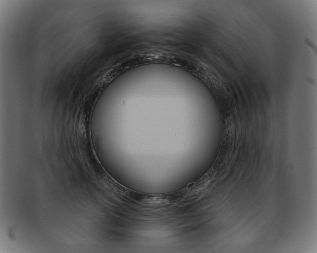 X0000092020754200709061329