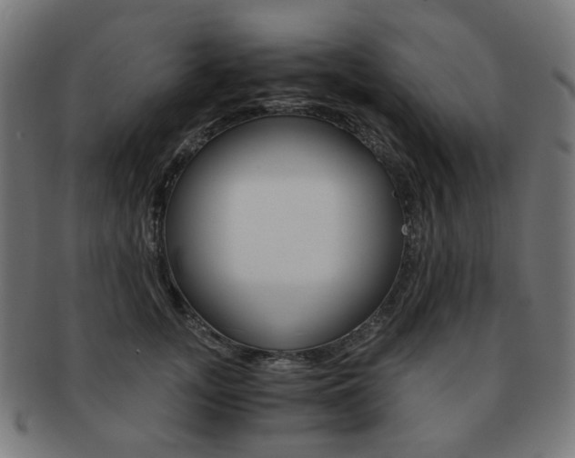 X0000092020755200709061329