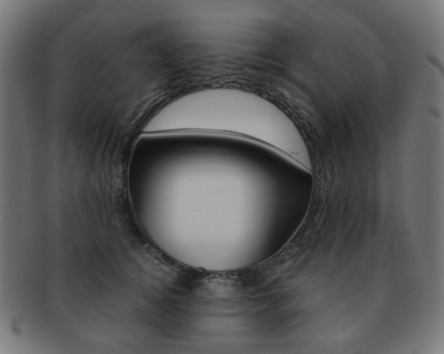 X0000092020756200709061329