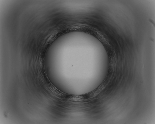 X0000092020758200709061329
