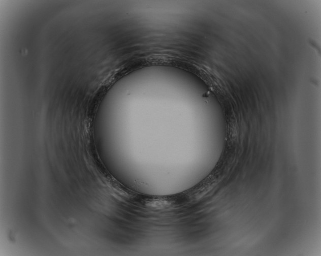 X0000092020759200709061329