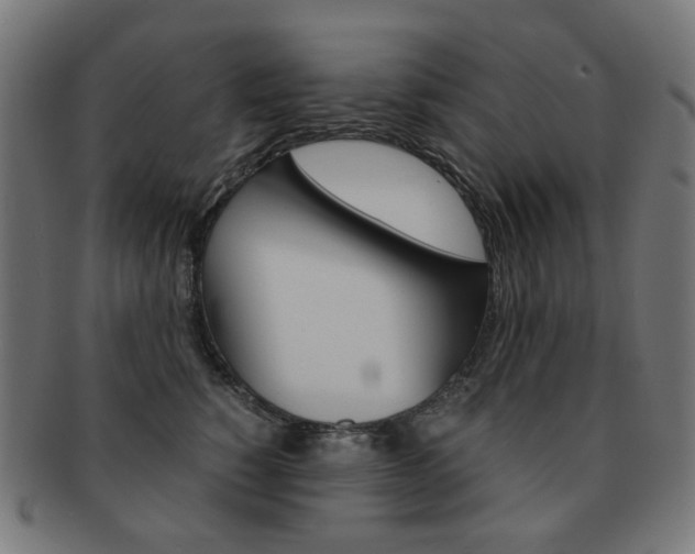 X0000092020760200709061329