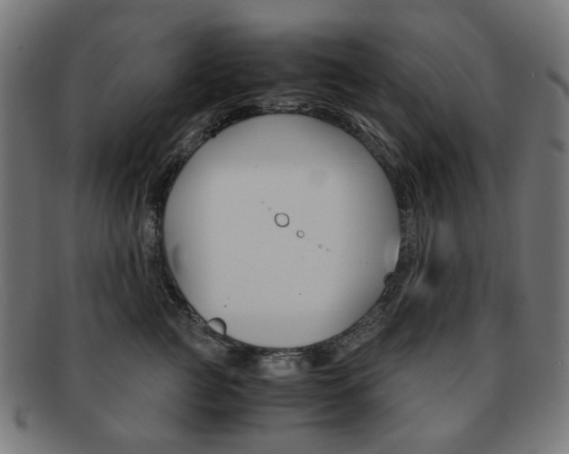 X0000092020761200709061329