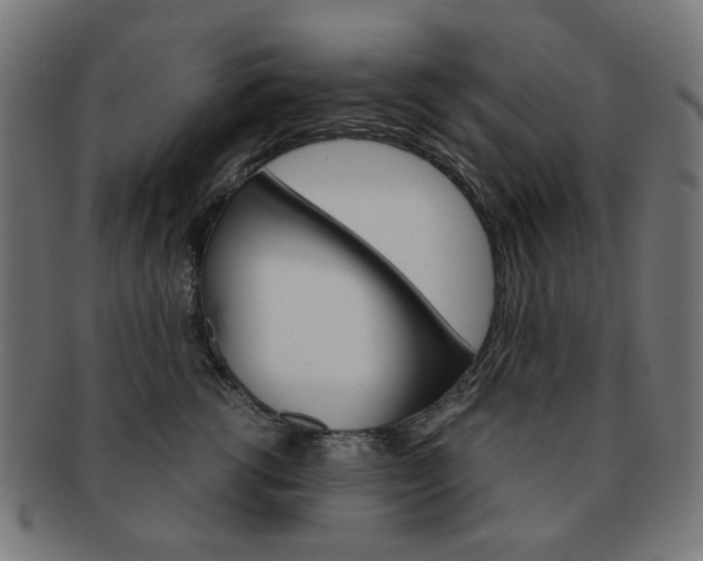 X0000092020762200709061329