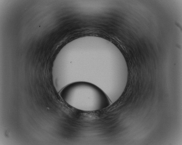 X0000092020763200709061329