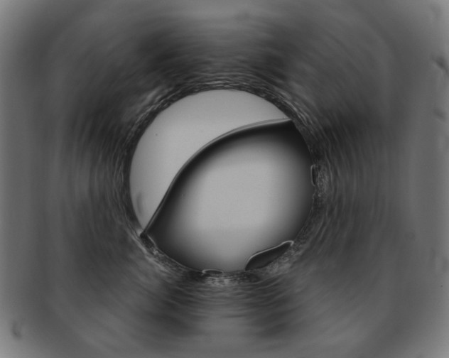 X0000092020764200709061329