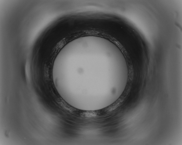 X0000092020765200709061329