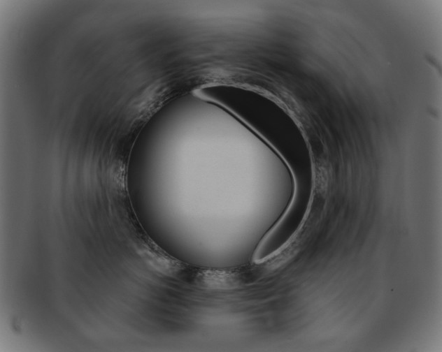 X0000092020766200709061329