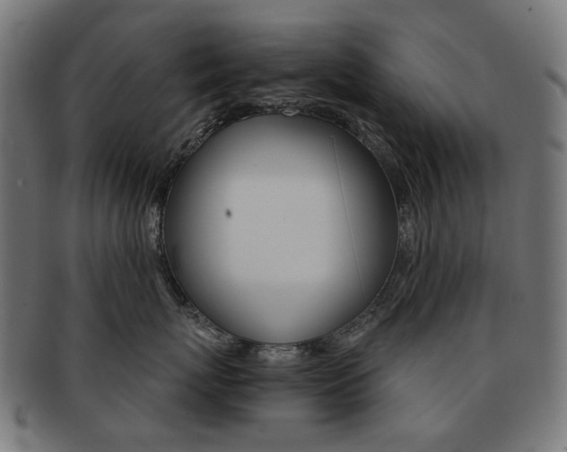 X0000092020767200709061329
