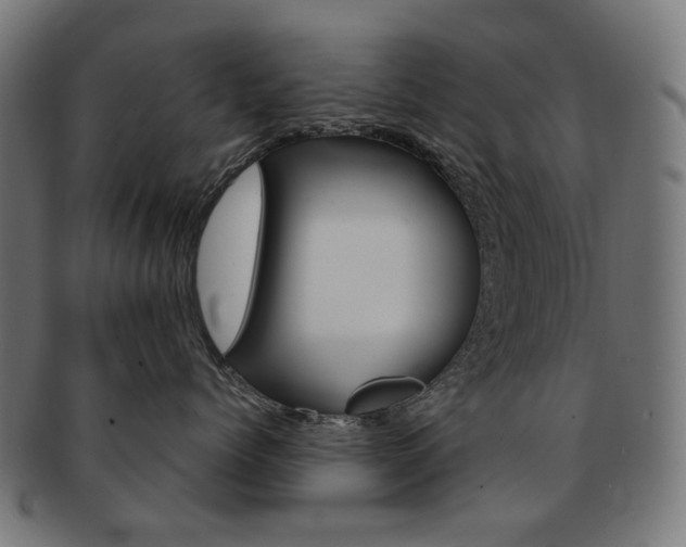 X0000092020768200709061329
