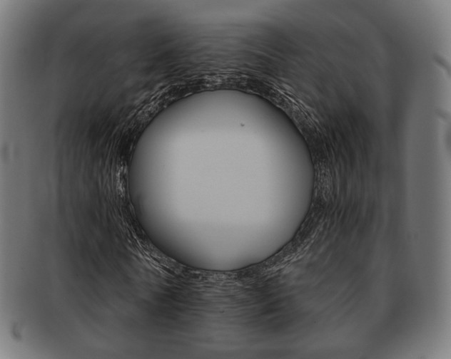 X0000092020770200709061329