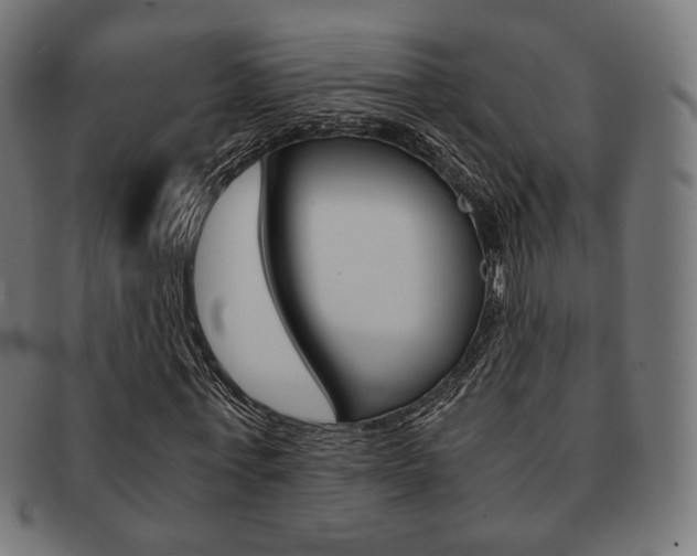 X0000092020771200709061329