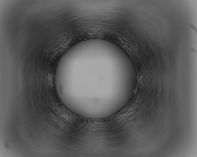 X0000092020772200709061329