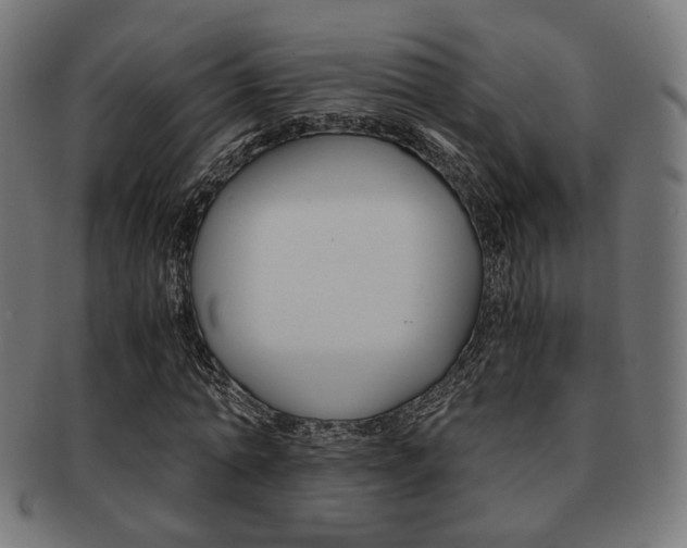 X0000092020774200709061329