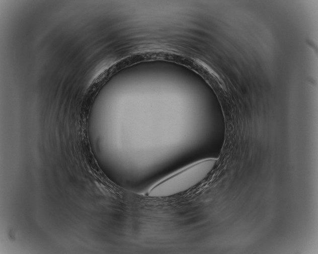 X0000092020775200709061329