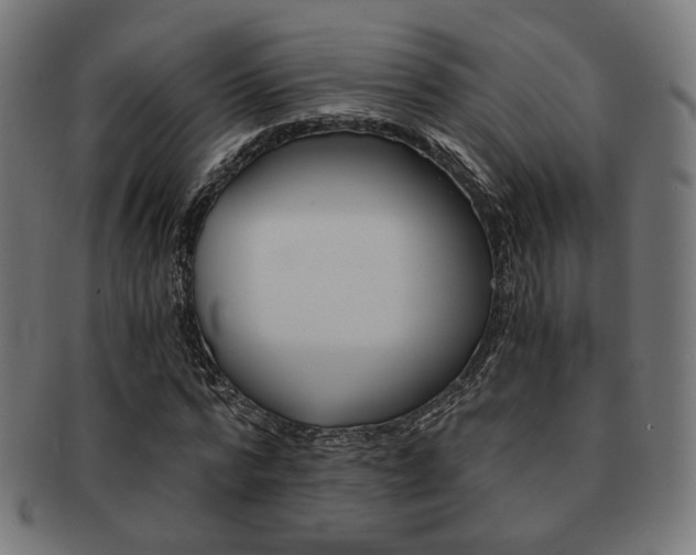 X0000092020776200709061329