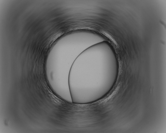 X0000092020777200709061329