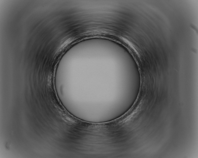 X0000092020778200709061329