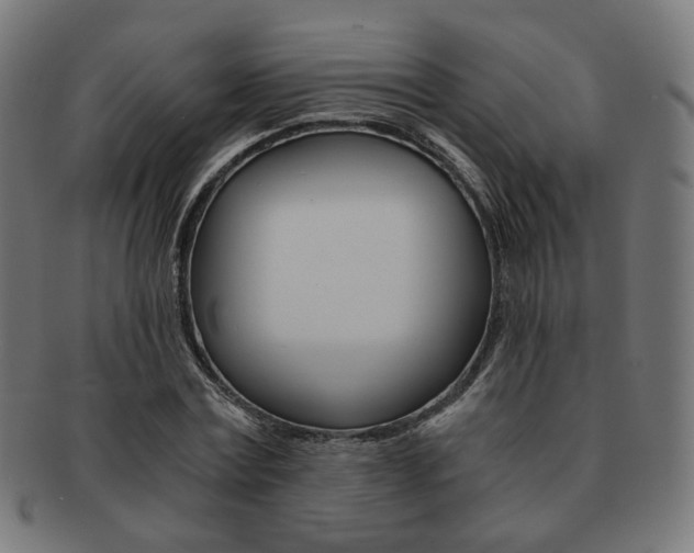 X0000092020779200709061329