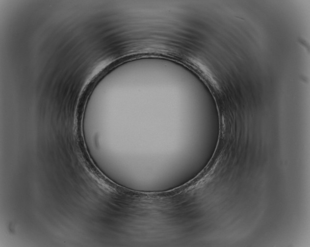 X0000092020780200709061329